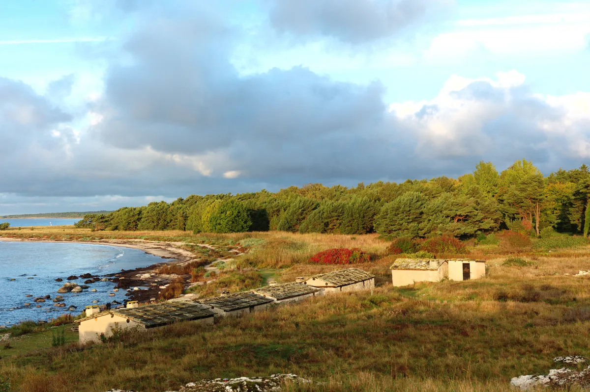 Holmhällar-Strand, Region Gotland, Baltic Sea, Schweden