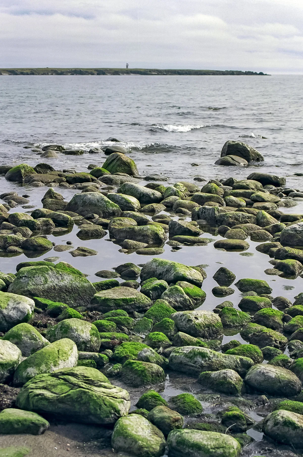 Holmhällar-Strand, Region Gotland, Baltic Sea, Schweden — 3