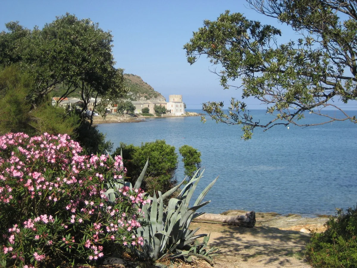 Tollare-Strand, Ersa, Corsica, Frankreich — 4