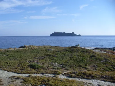 Tollare-Strand, Ersa, Corsica, Frankreich — 5