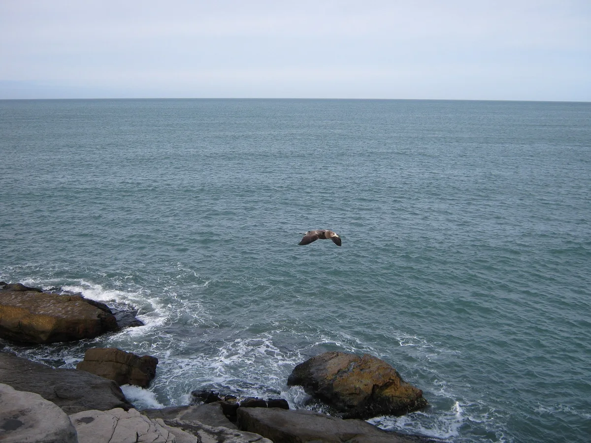 Cabo Corrientes Beach, Mar del Plata, Argentine Coast, Argentina