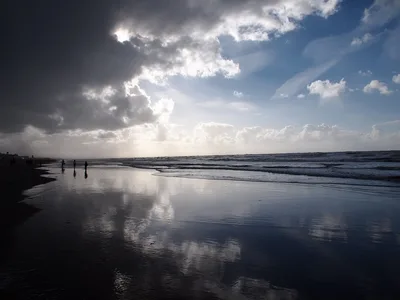 Paal 12 Beach, Texel, North Holland, Netherlands — 3