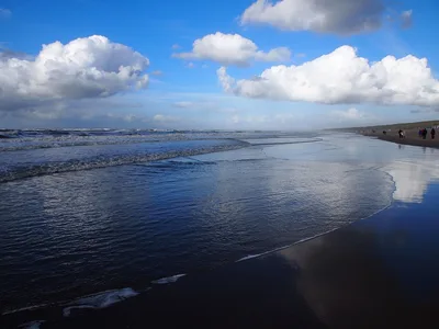 Paal 12 Beach, Texel, North Holland, Netherlands — 4