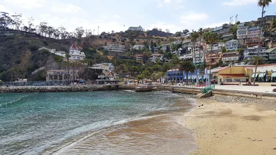 Avalon Beach