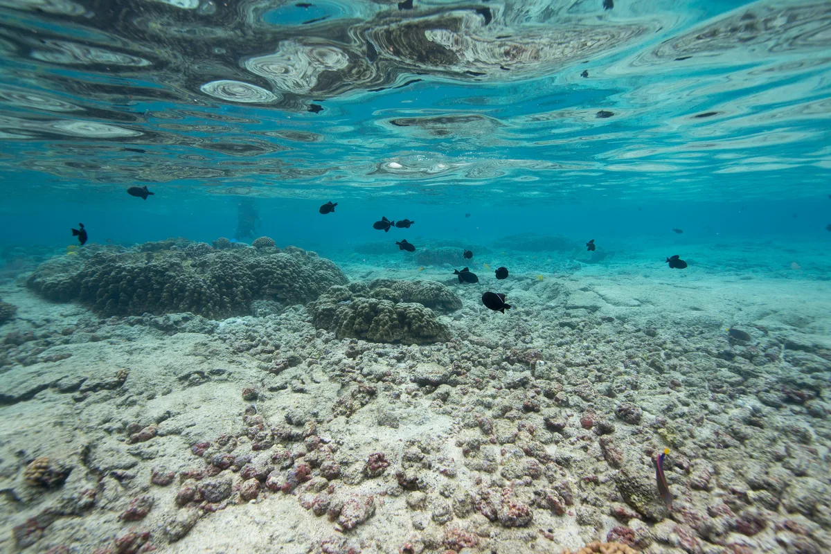 Kahalu'u Beach Park, Kailua-Kona, Hawaii, United States — 5