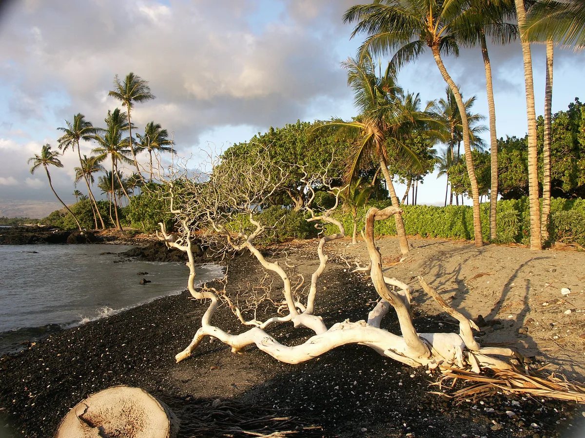 Kahalu'u Beach Park, Kailua-Kona, Hawaii, United States — 3