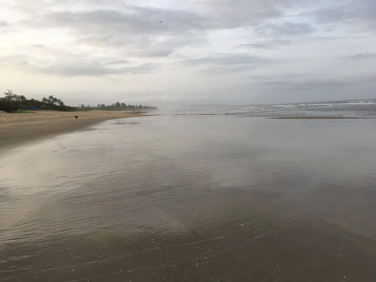 Benaulim Beach, Benaulim, Indian West Coast, India — 4