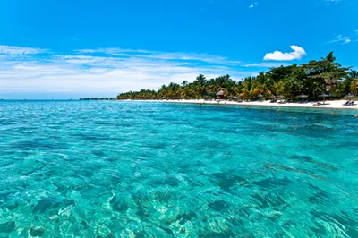 Trou aux Biches Beach, Pamplemousses, Mascarene Islands, Mauritius — 5