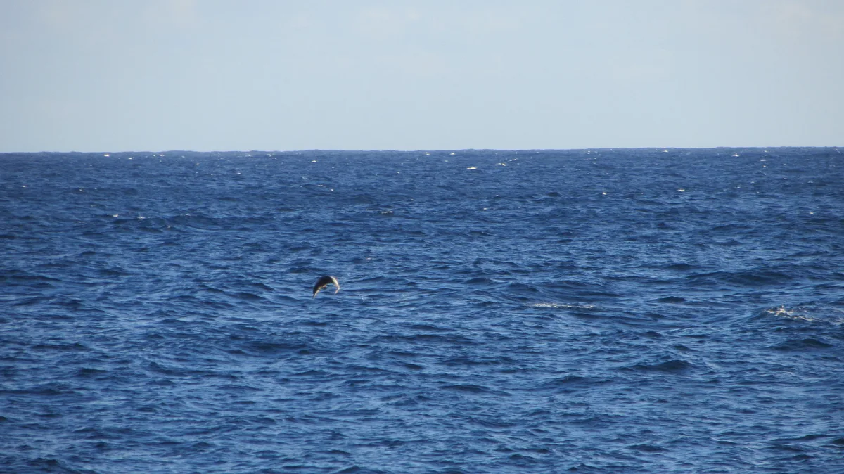 Kehena Beach, Puna, Hawaii, United States — 5