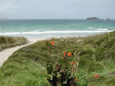 Spiaggia di Ōpito Bay, Opito Bay, Waikato, Nuova Zelanda — 6