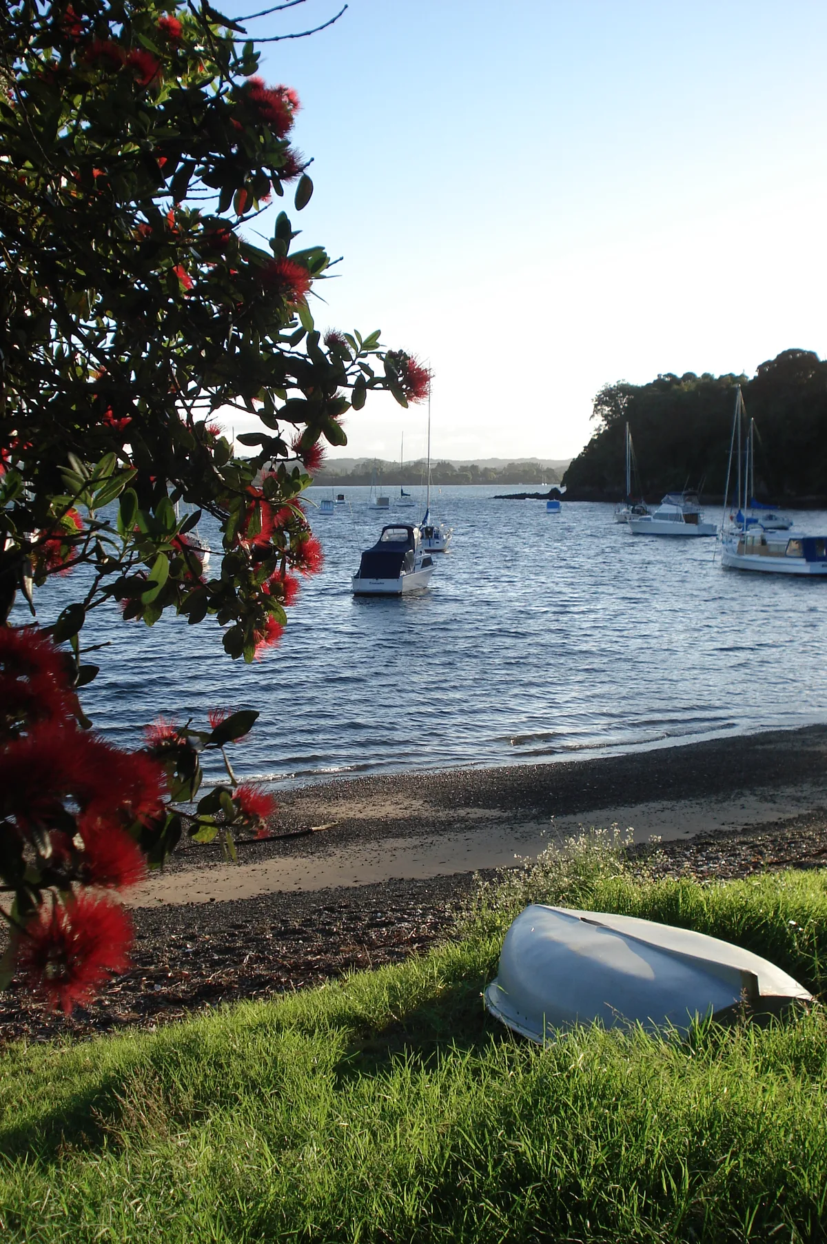 Spiaggia di Ōpito Bay, Opito Bay, Waikato, Nuova Zelanda — 3