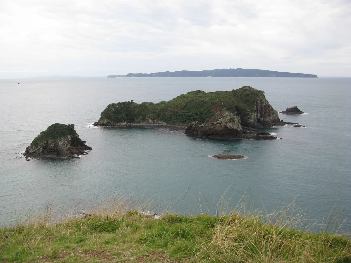 Spiaggia di Ōpito Bay, Opito Bay, Waikato, Nuova Zelanda — 5