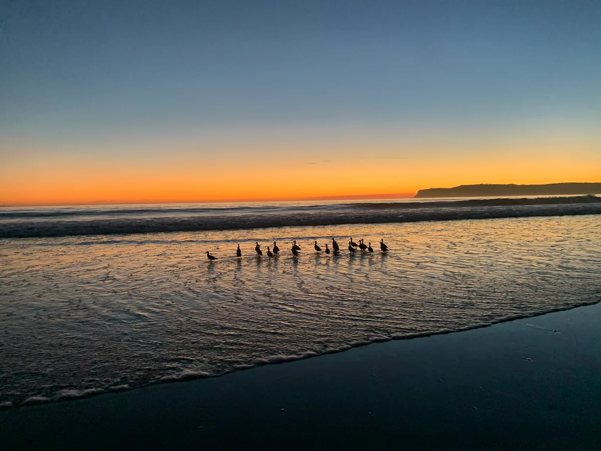 Coronado Beach, Coronado, California Coast, United States — 4