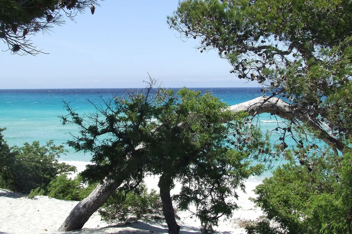 Saleccia-Strand, Santo-Pietro-di-Tenda, Corse, Frankreich — 2