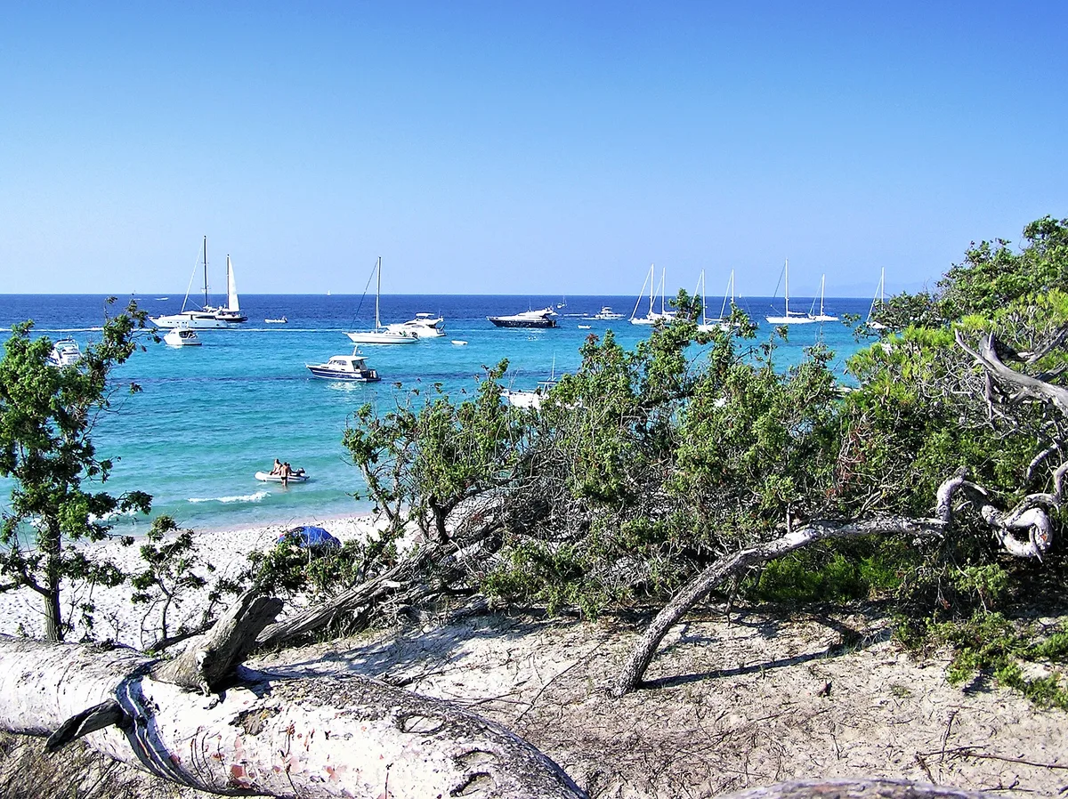 Saleccia-Strand, Santo-Pietro-di-Tenda, Corse, Frankreich — 3