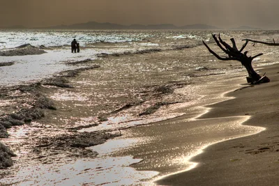 Marina di Alberese Beach