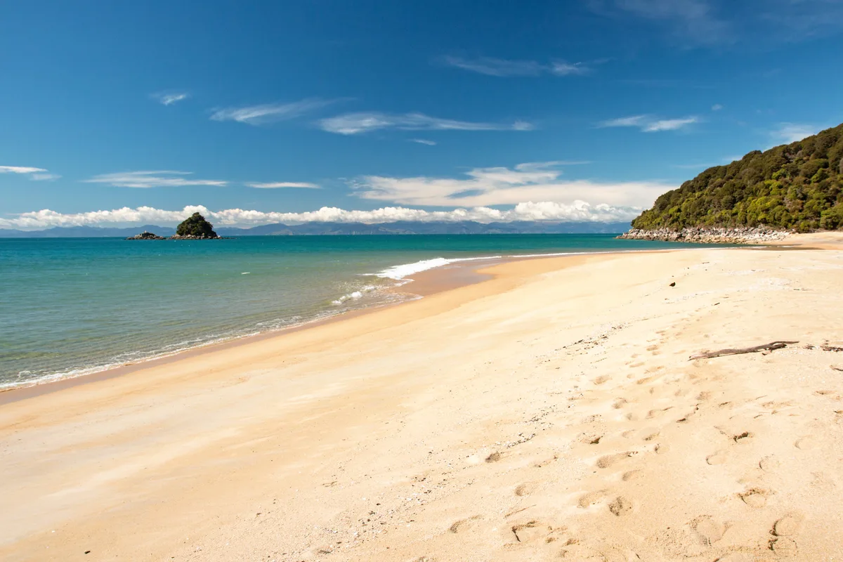 Bark Bay Beach, Tasman District, Nelson-Tasman, New Zealand