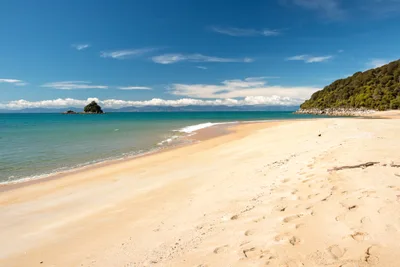 Bark Bay Beach