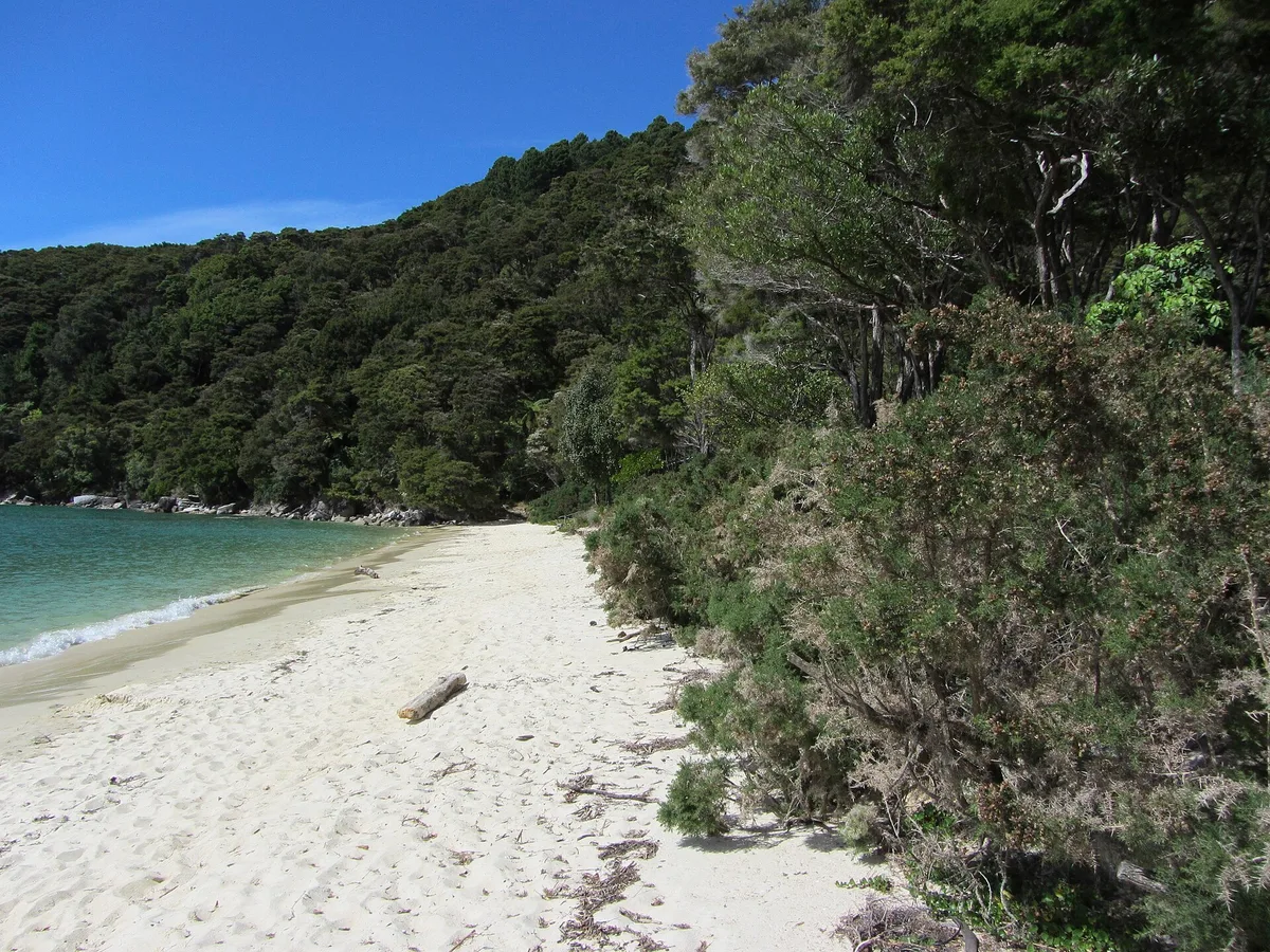 Bark Bay Beach, Tasman District, Nelson-Tasman, New Zealand — 3