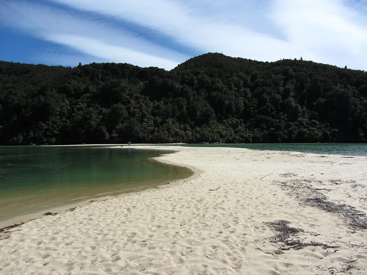 Bark Bay Beach, Tasman District, Nelson-Tasman, New Zealand — 4