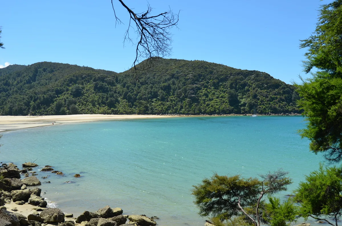 Bark Bay Beach, Tasman District, Nelson-Tasman, New Zealand — 6