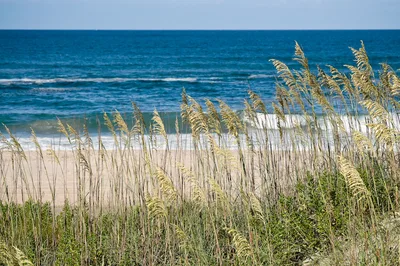Coquina Beach, Nags Head, US East Coast, Stati Uniti — 3