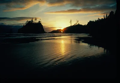 Second Beach, Clallam County, Pacific Northwest, United States — 2