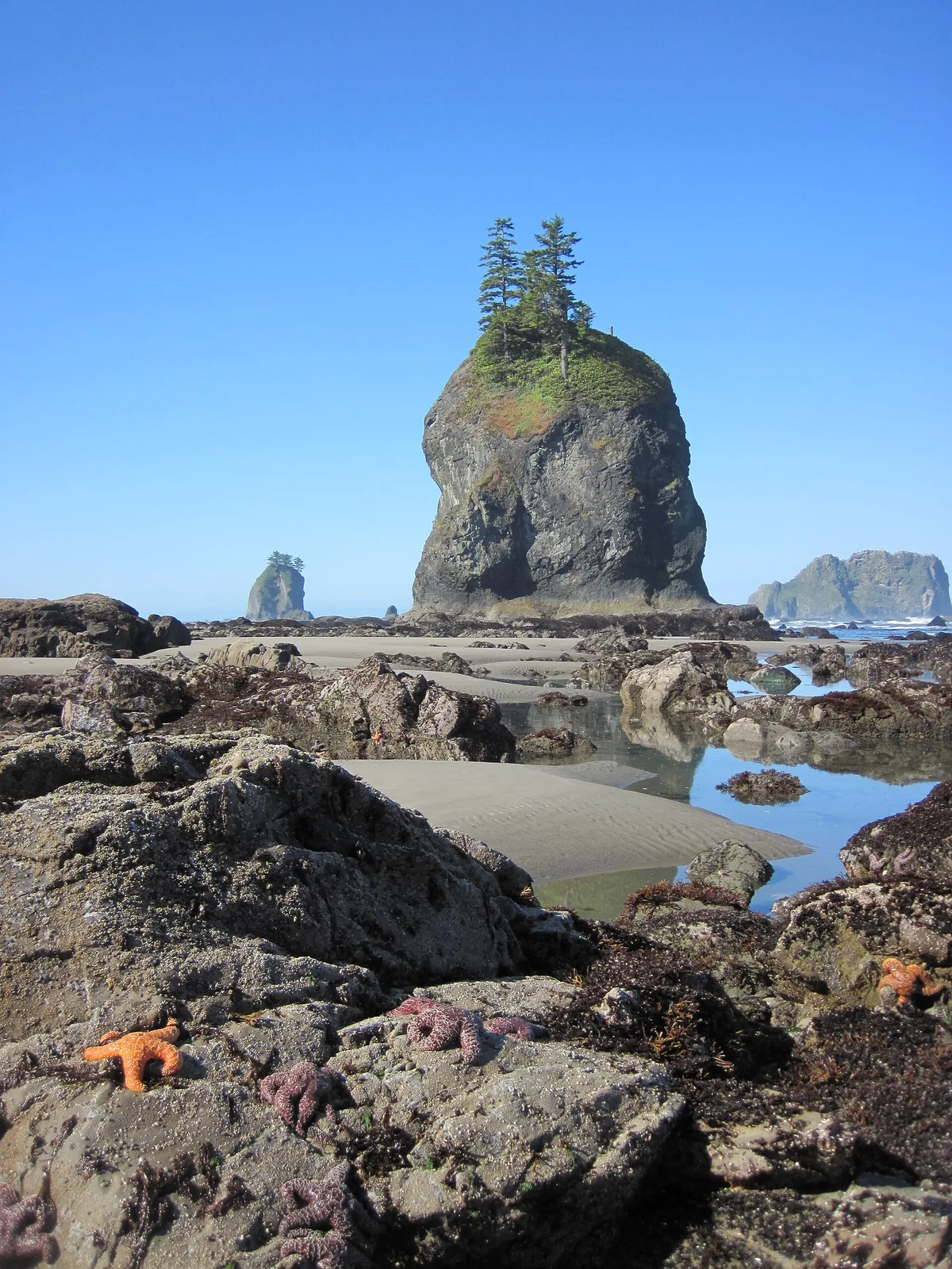 Second Beach, Clallam County, Pacific Northwest, United States