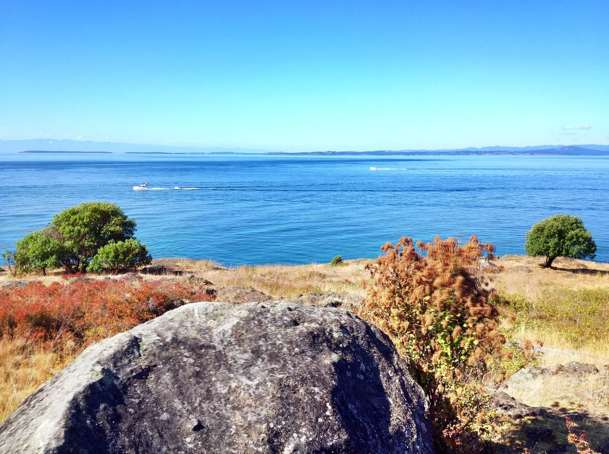 Westside Preserve Beach, Friday Harbor, US Pacific Northwest, United States — 3
