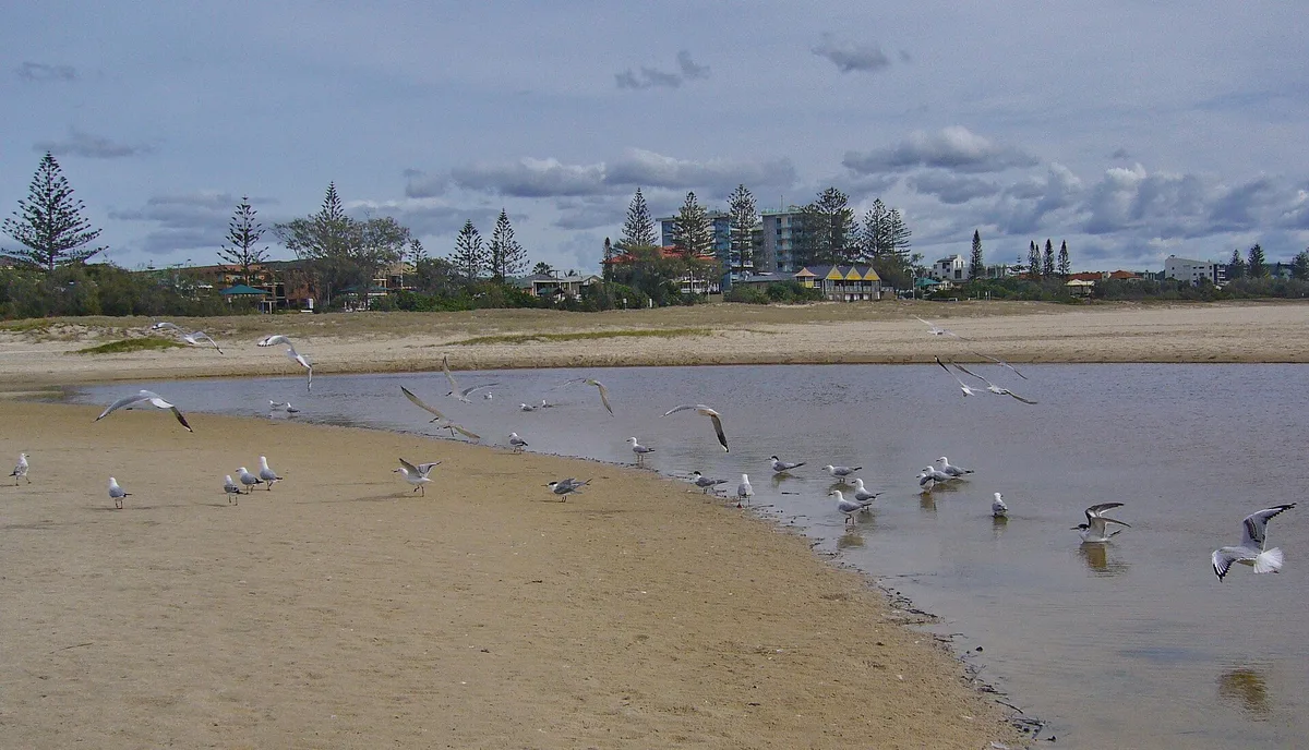 Praia de Kirra, Coolangatta, Australian East Coast, Austrália — 3