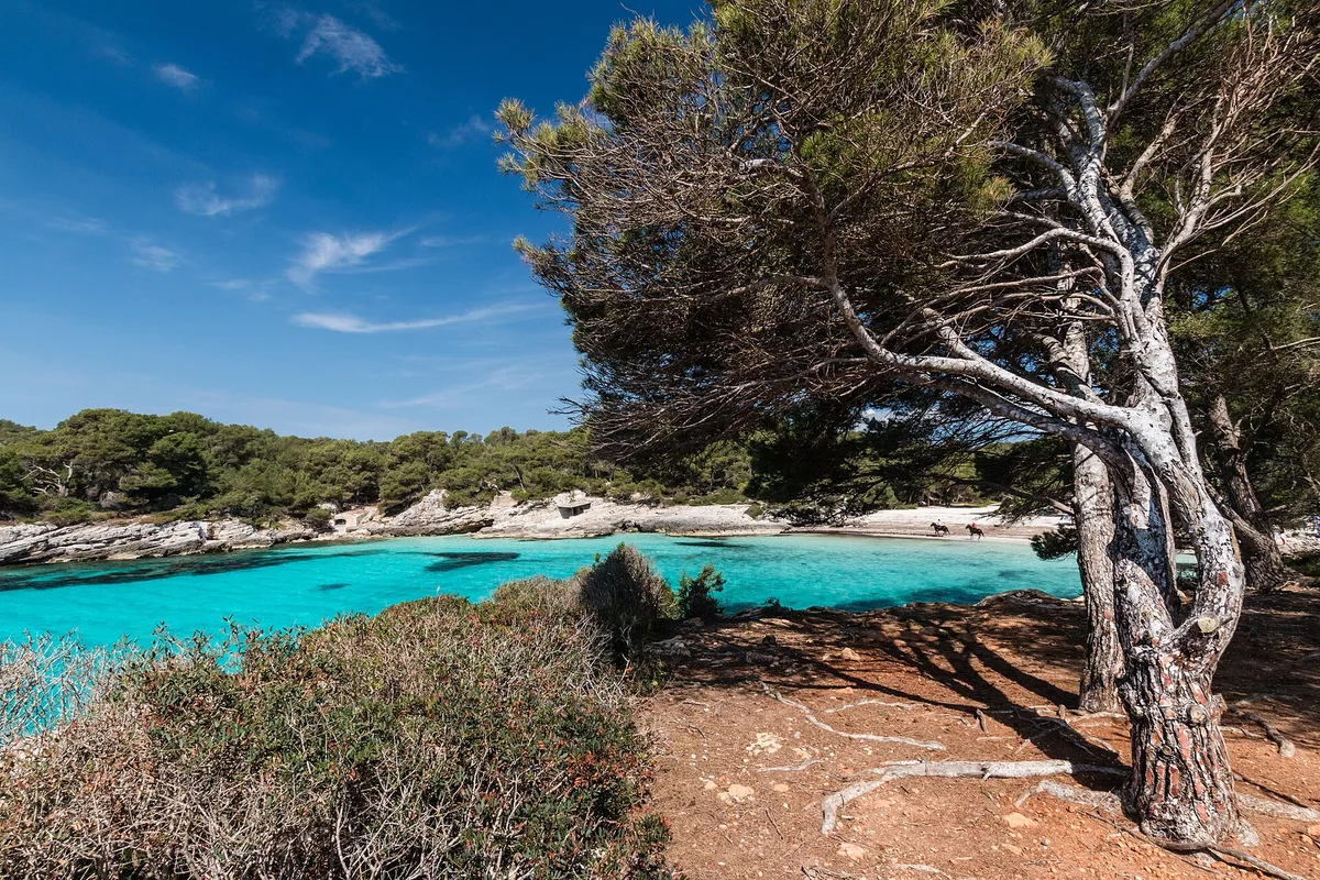 Cala en Turqueta Beach, Ciutadella de Menorca, Balearic Islands, Spain