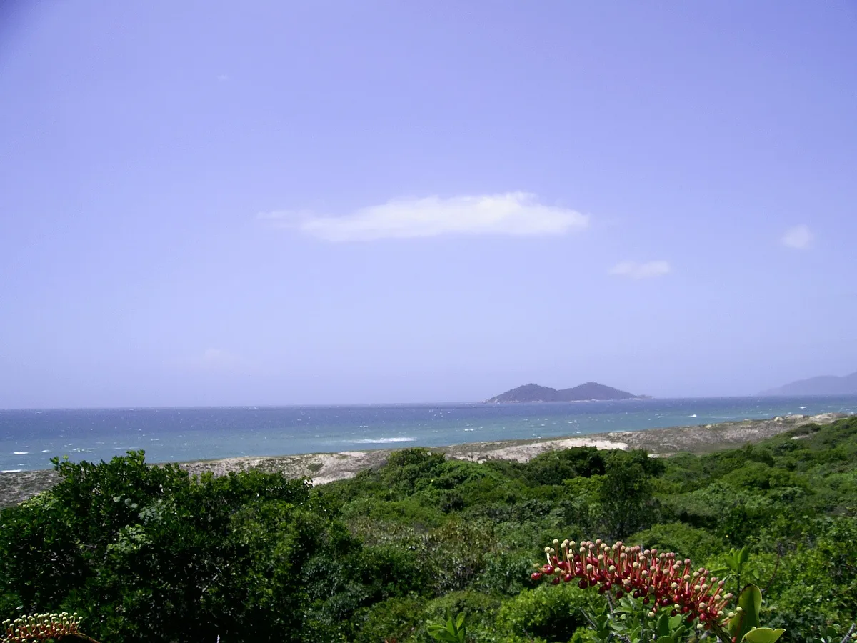 Campeche Beach, Florianópolis, Brazilian Atlantic, Brazil