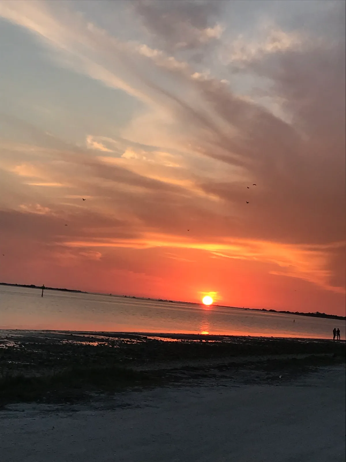 Dunedin Causeway Beach, Dunedin, Florida, United States