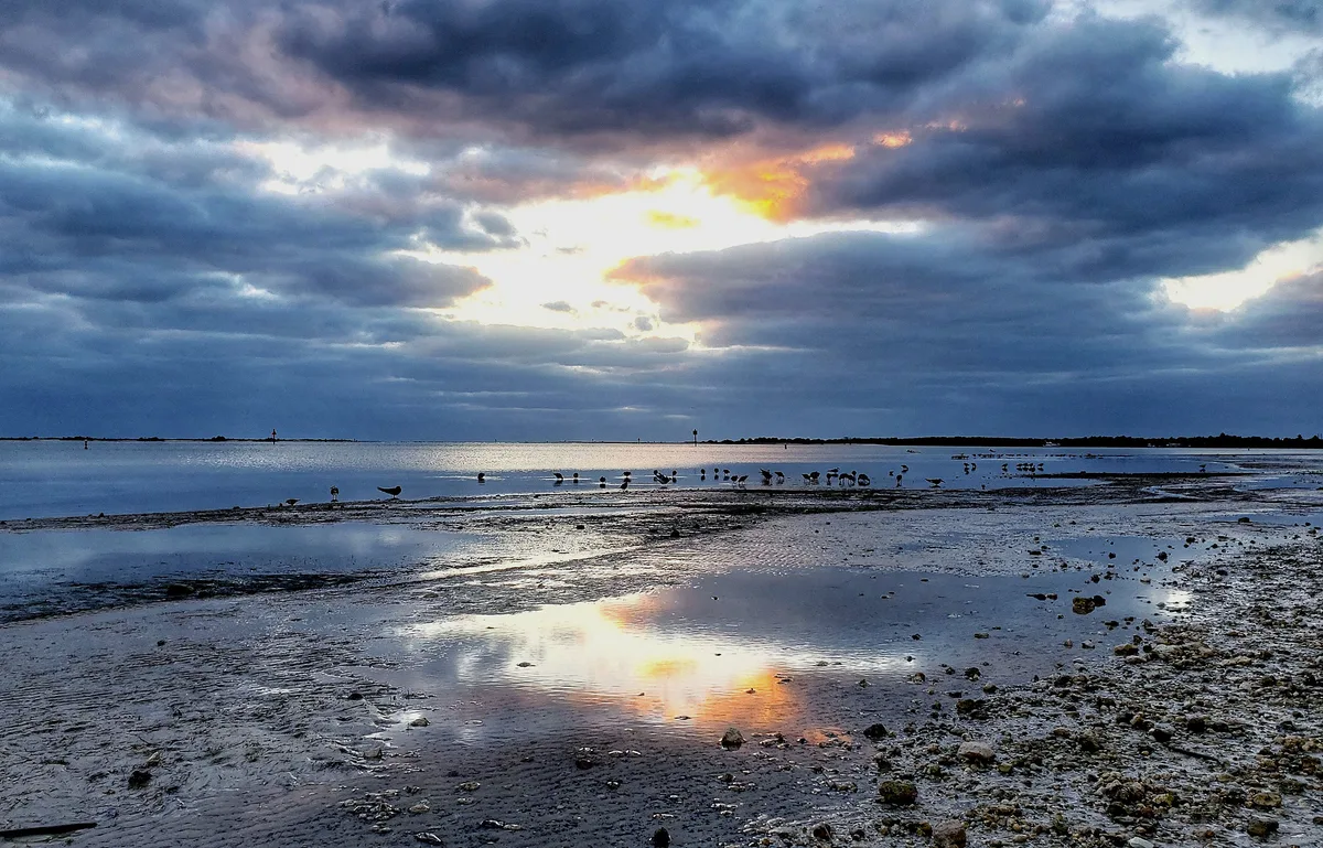 Dunedin Causeway Beach, Dunedin, Florida, United States — 3