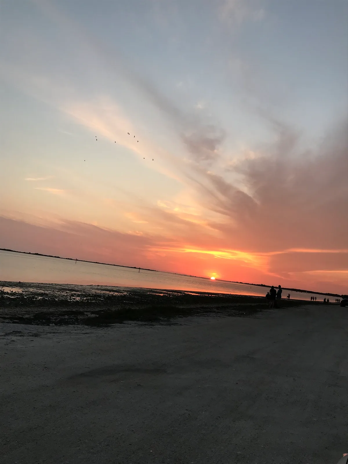 Dunedin Causeway Beach, Dunedin, Florida, United States — 4