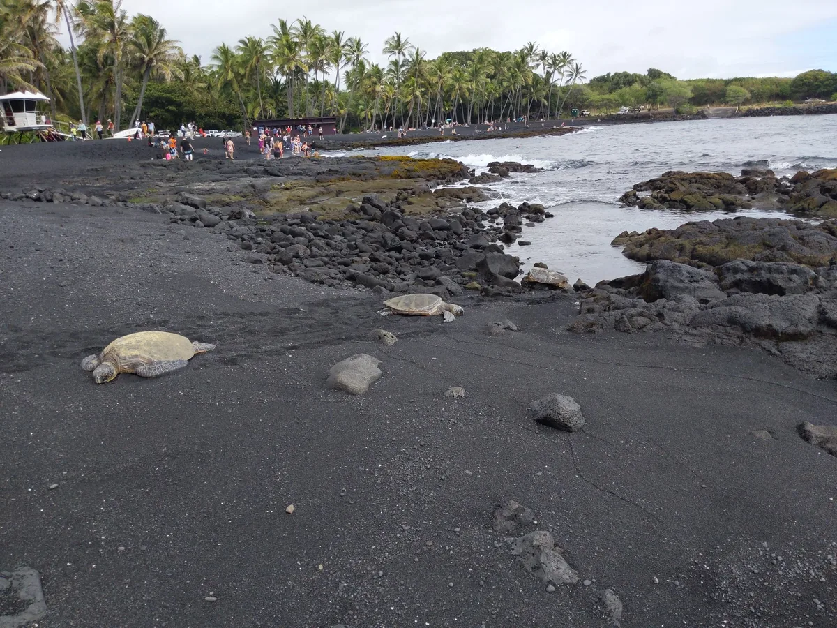 Spiaggia di Punalu'u Black Sand, Ka'u, Hawaii, Stati Uniti — 3