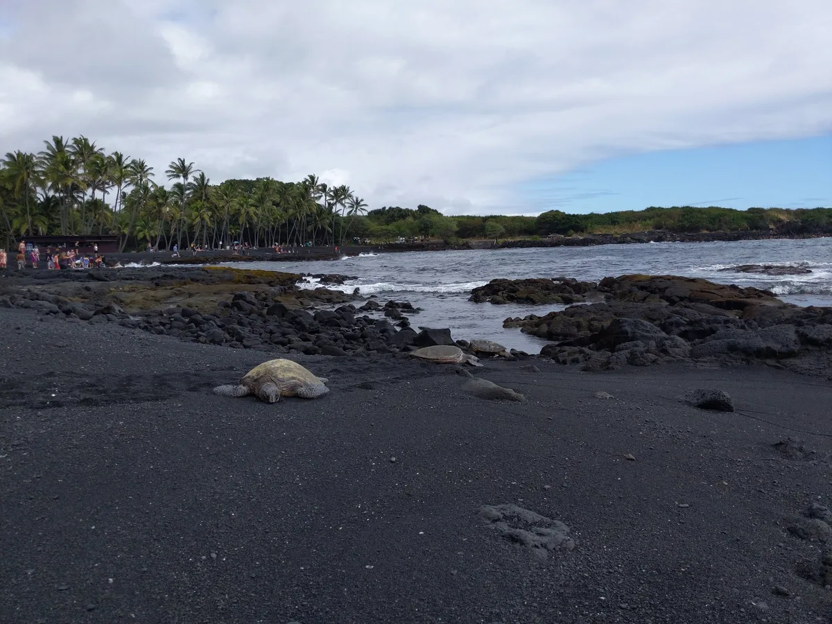 Spiaggia di Punalu'u Black Sand, Ka'u, Hawaii, Stati Uniti — 4