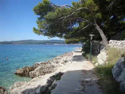 Bačva Beach