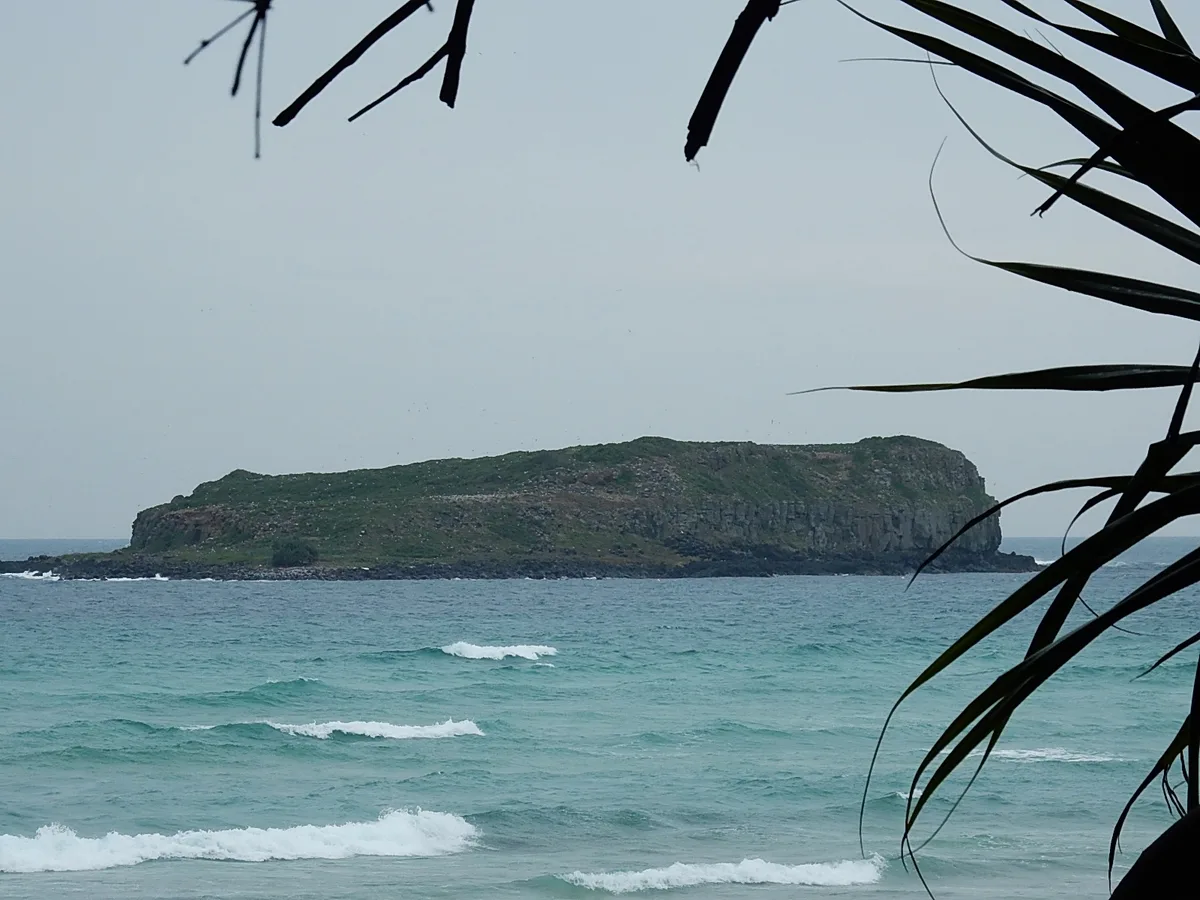 Fingal Head Beach, Fingal Head, Australian East Coast, Australia — 3