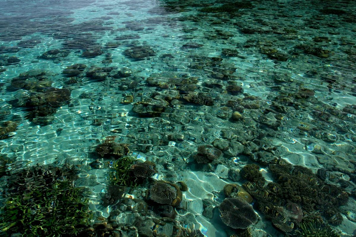 Coral Beach, Matanzas, Greater Antilles, Cuba — 2