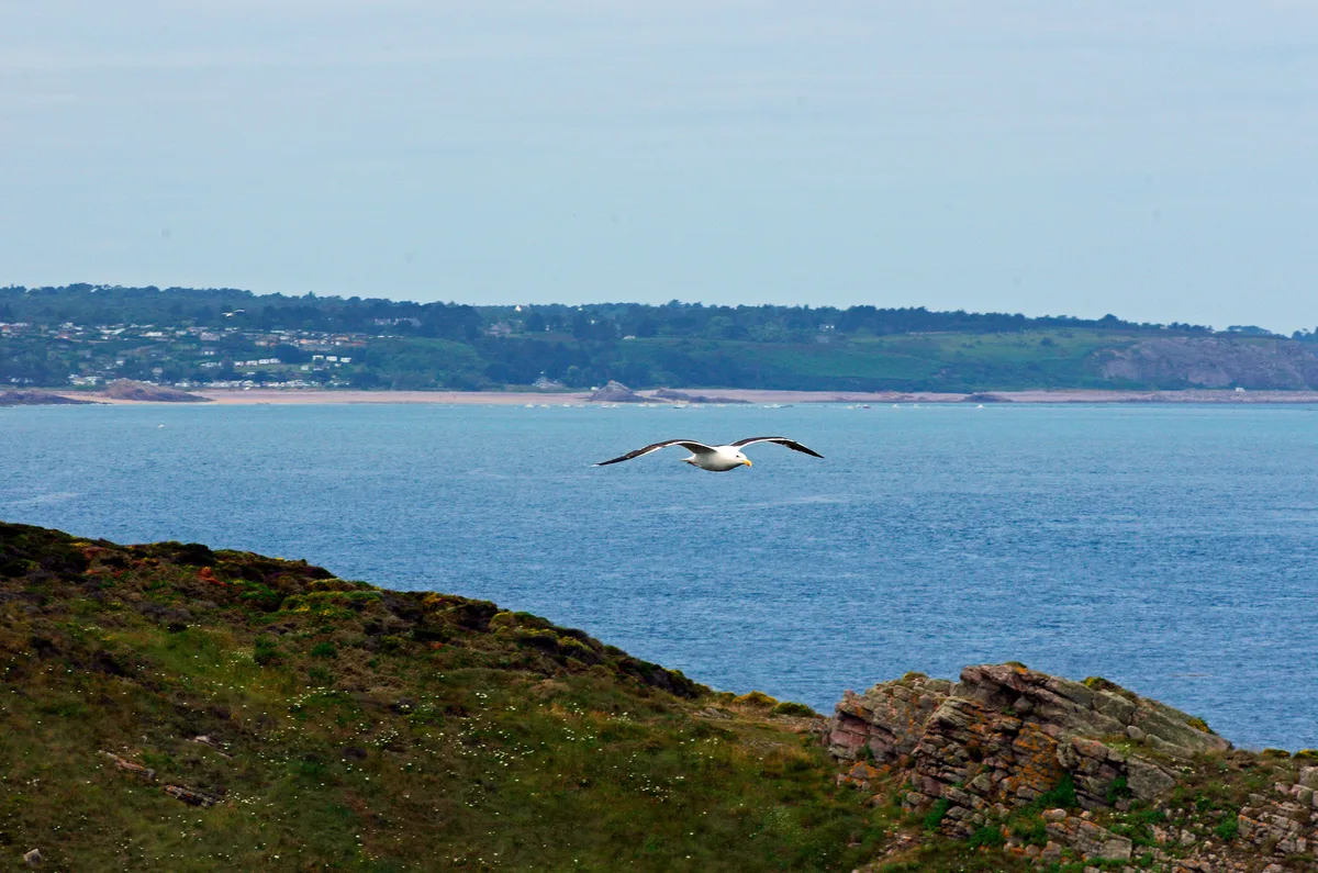 Playa de la Fosse Eyrand, Fréhel, Brittany, Francia — 3