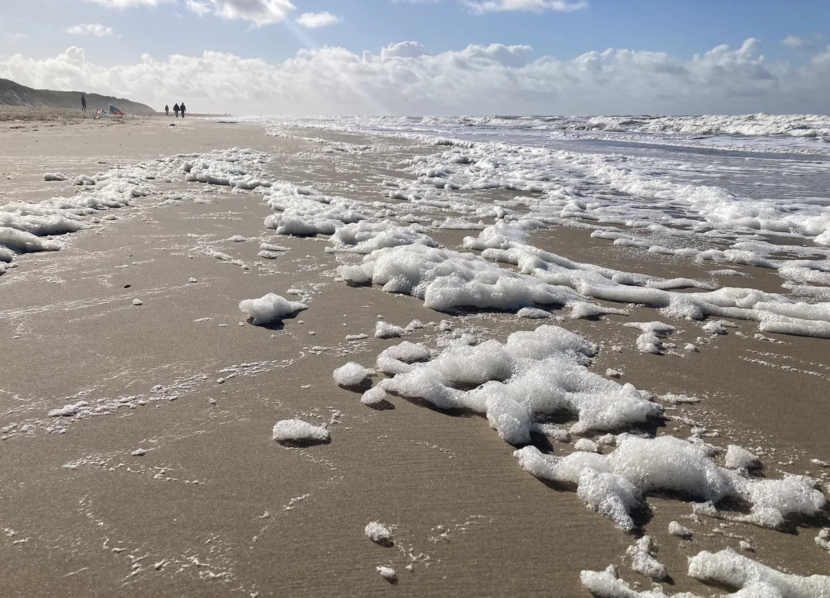 Paal 9 Beach, Texel, North Holland, Netherlands — 3