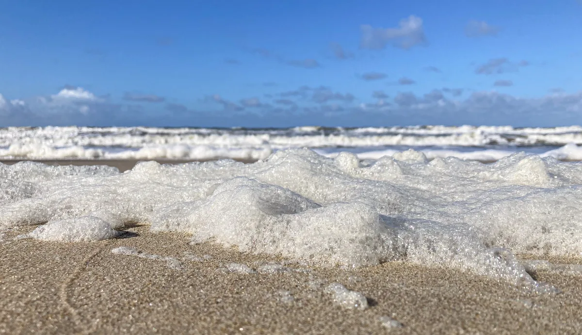 Paal 9 Beach, Texel, North Holland, Netherlands — 4