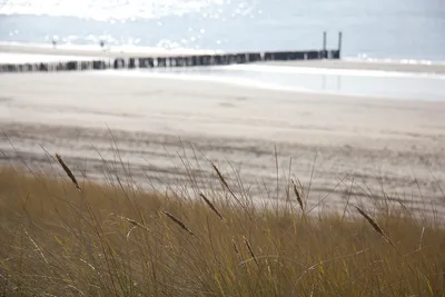 Dishoek Beach, Veere, Zeeland, Netherlands — 2