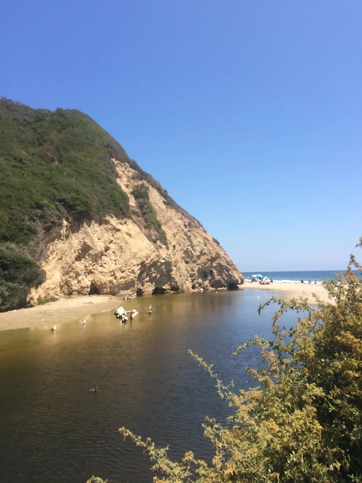 Arroyo Burro Beach, Santa Barbara, California Coast, United States — 5