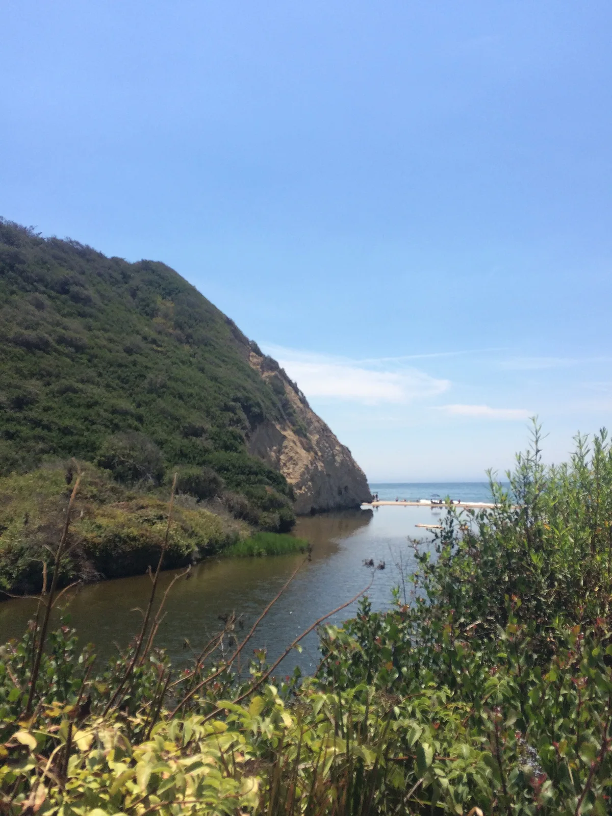 Arroyo Burro Beach, Santa Barbara, California Coast, United States — 6