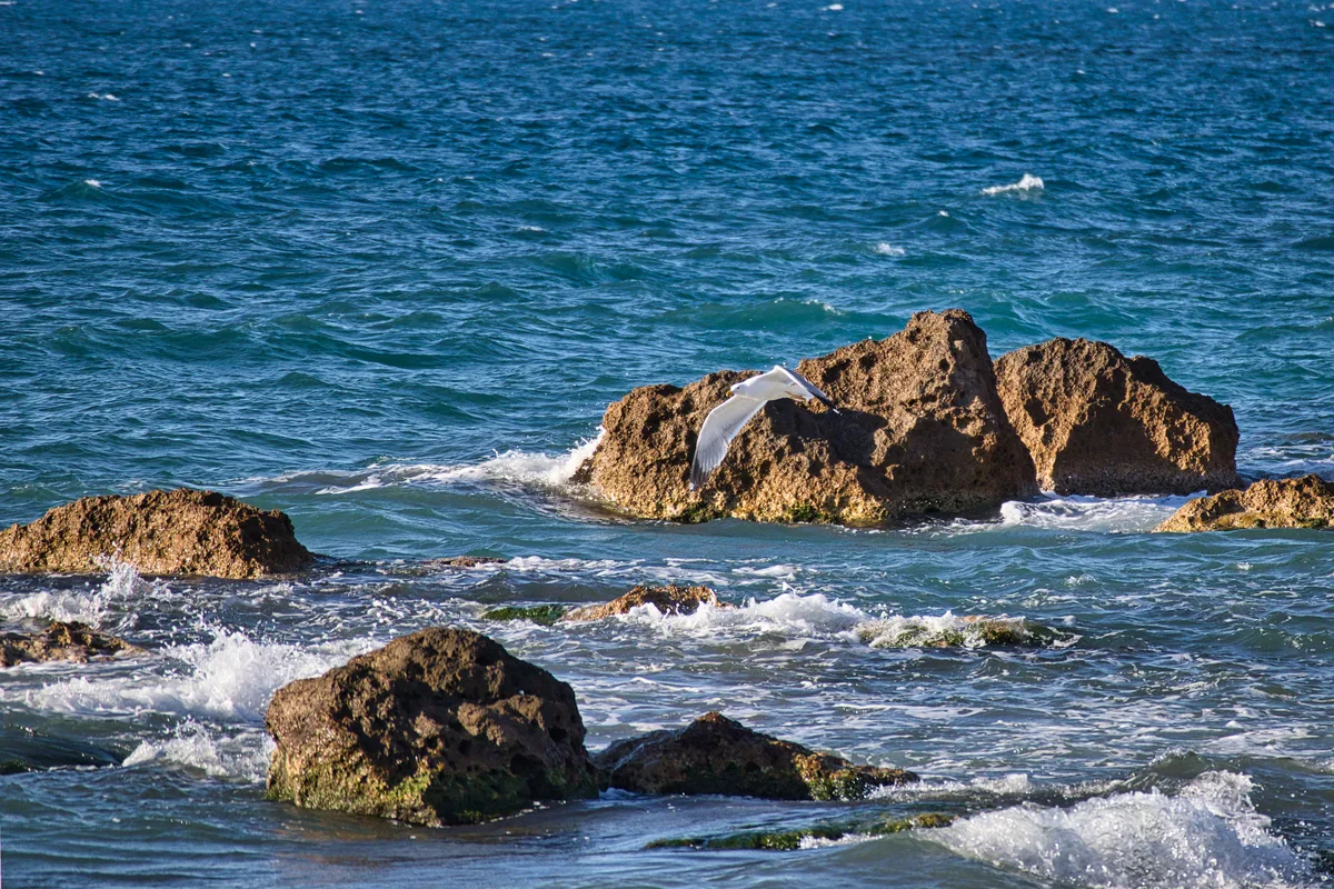 Kladissos Beach, Municipality of Chania, Crete, Greece — 2