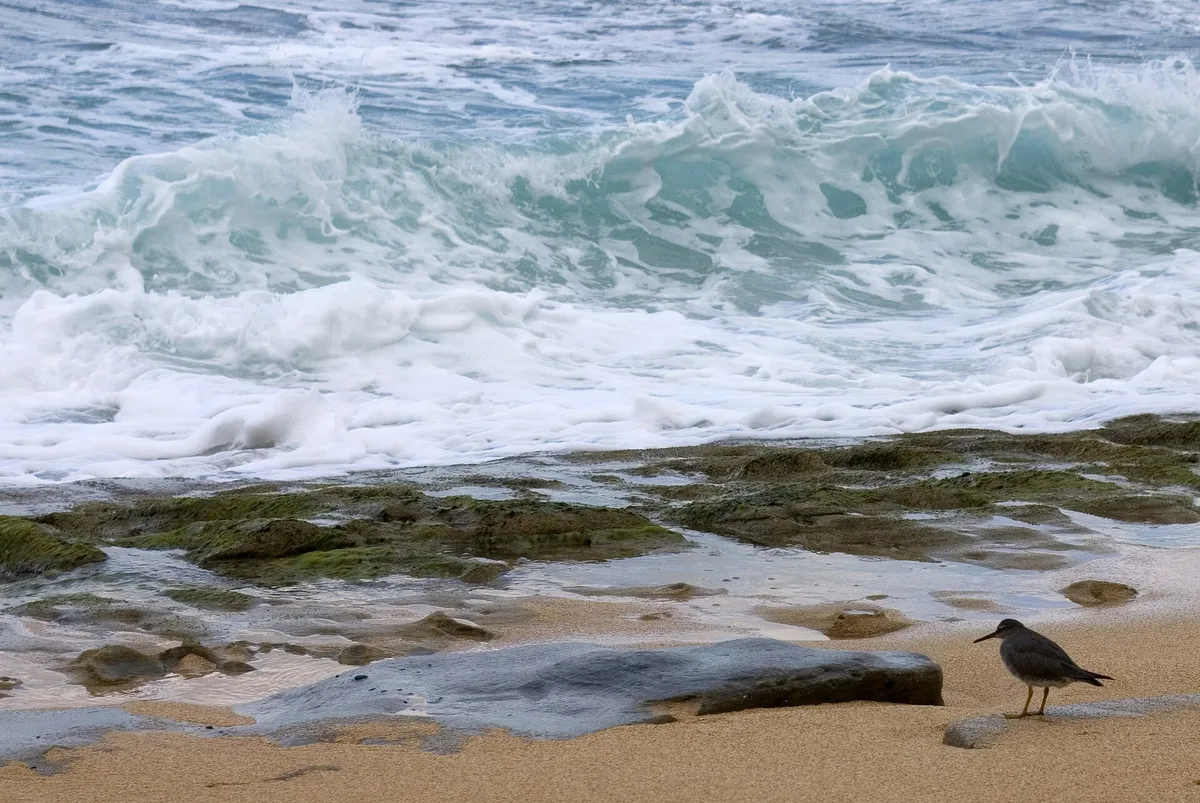Wainiha Beach, Wainiha, Hawaii, United States — 2