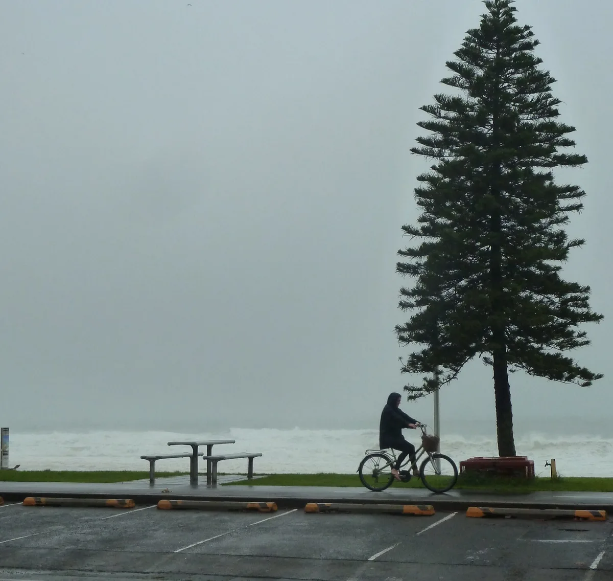 Manly Beach, Northern Beaches Council, New South Wales, Australia — 5