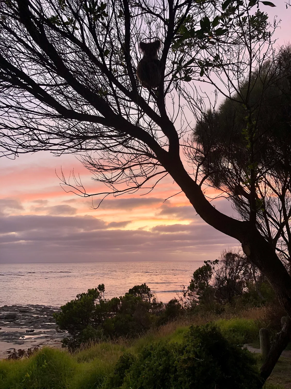 Blanket Bay Beach, Cape Otway, Great Ocean Road, Australia — 5